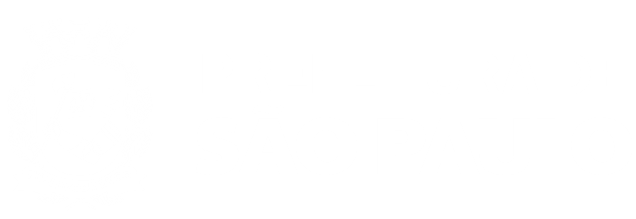 Cidade de São Paulo