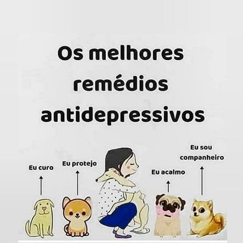 Equoterapia e Atividades Assistidas por Animais