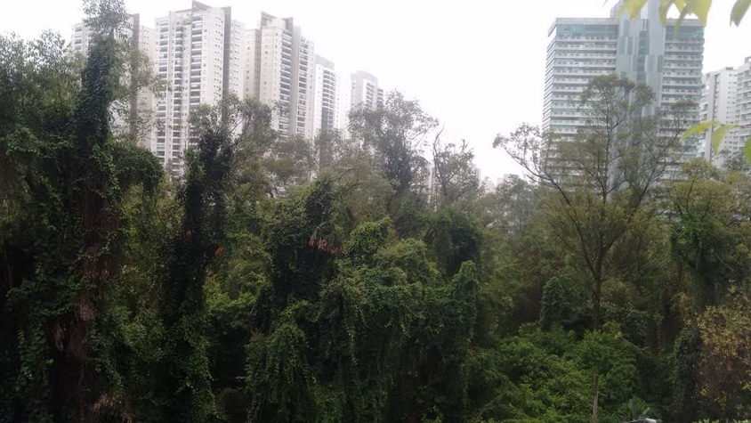 IMG-20191202-WA0079.jpg