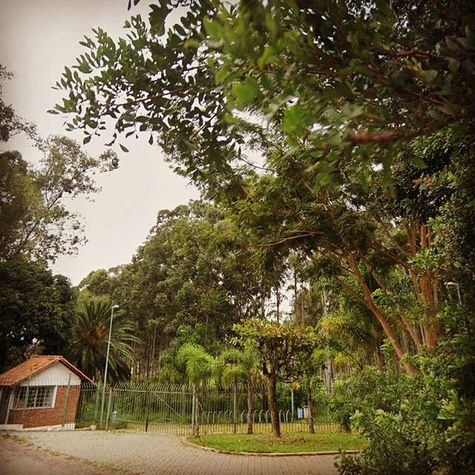Parque Primavera