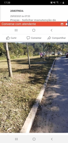 Futura praça das Palmeiras 