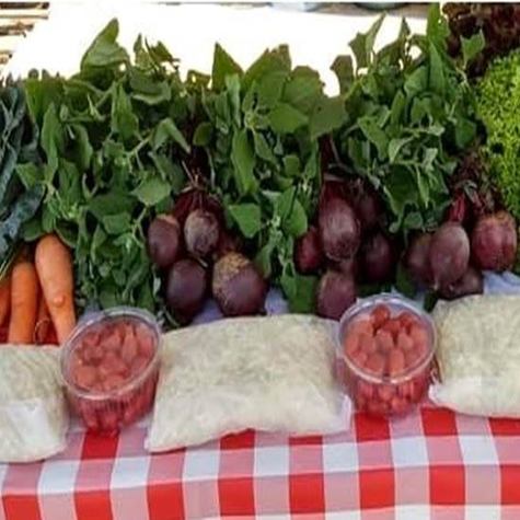Produção de orgânicos