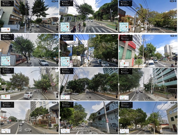Árvores x Fios na avenida Paes de Barros