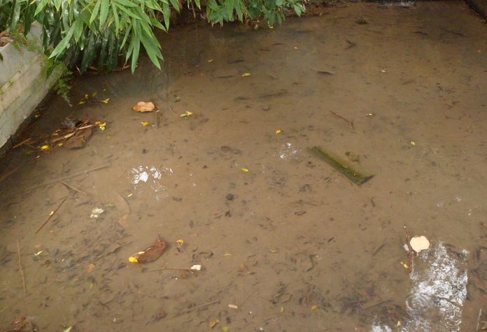 lago_para_participe_mais.jpg