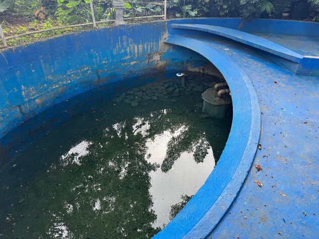 Nascente de agua na Rua Astolfo de Araujo