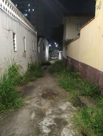 Vielas