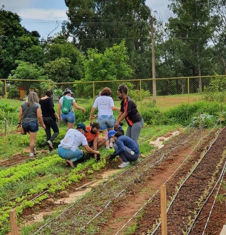 Horta Comunitária Av Roberto Marinho