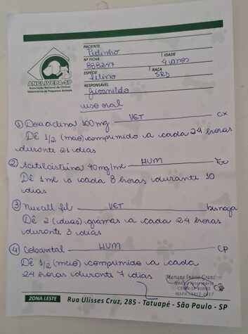Farmácia popular e gratuita 