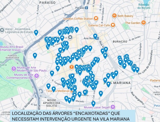 MAPA_ARVORES_ENCAIXOTADAS.JPG