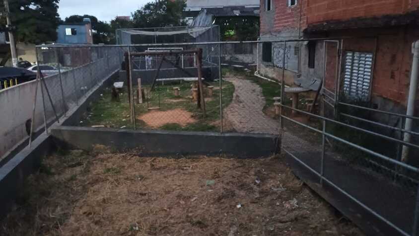 Margem do córrego.jpeg