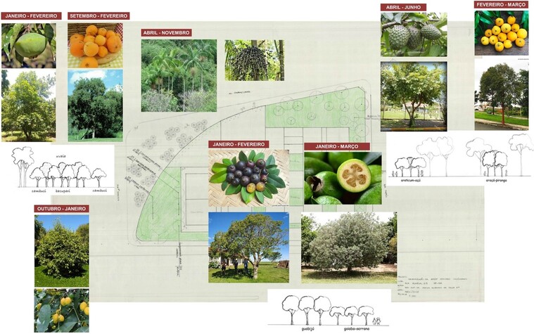 Imagem_arborização_aqui.jpg